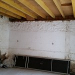 Réfection du plancher bois du logement de gardien et préparation des murs de la cave